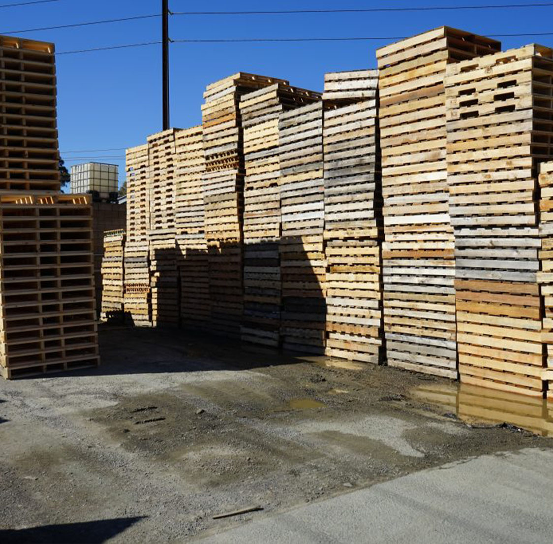Churchill Pallets | Used Pallets Adelaide