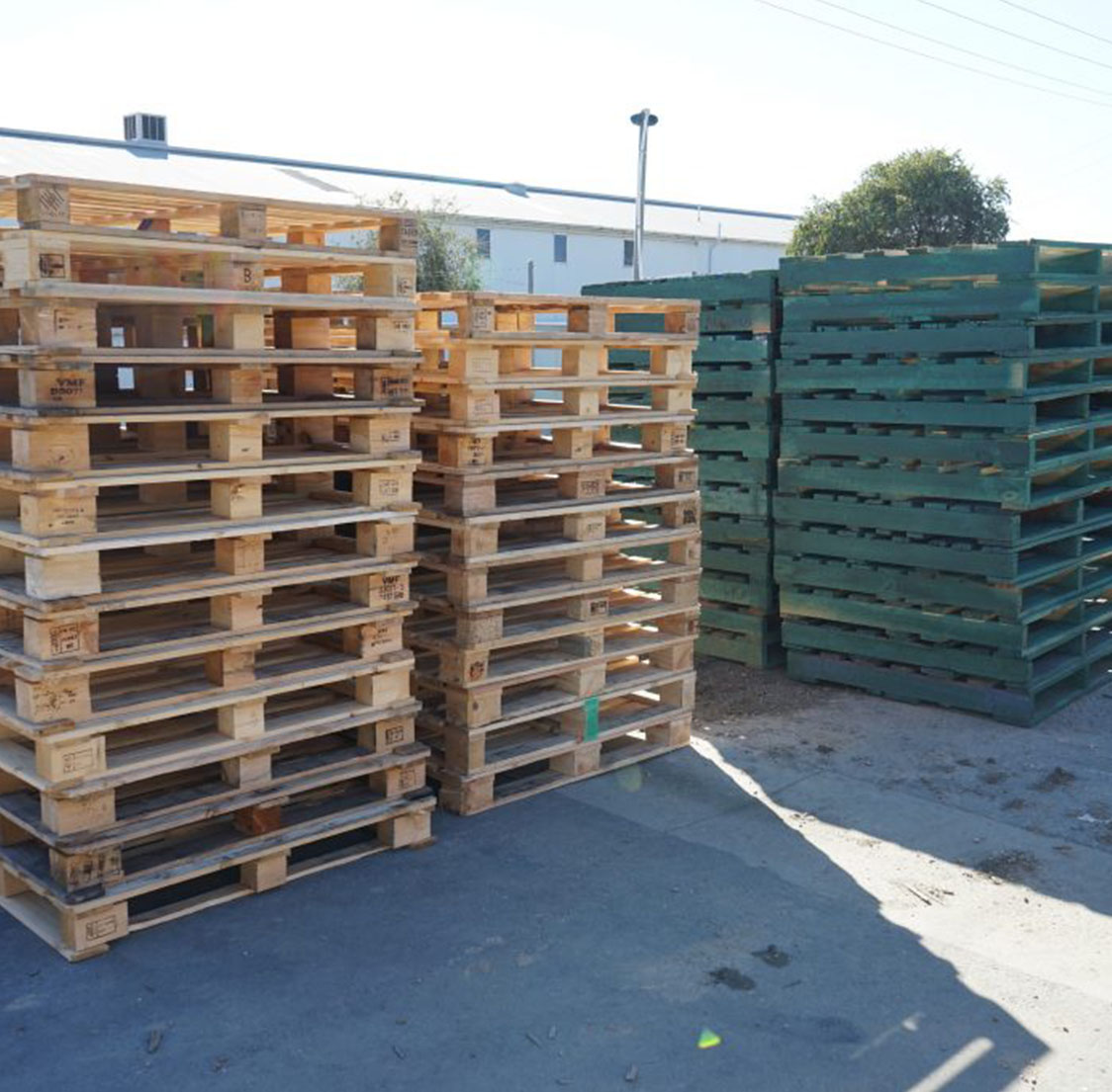 Plain and Coloured Pallets