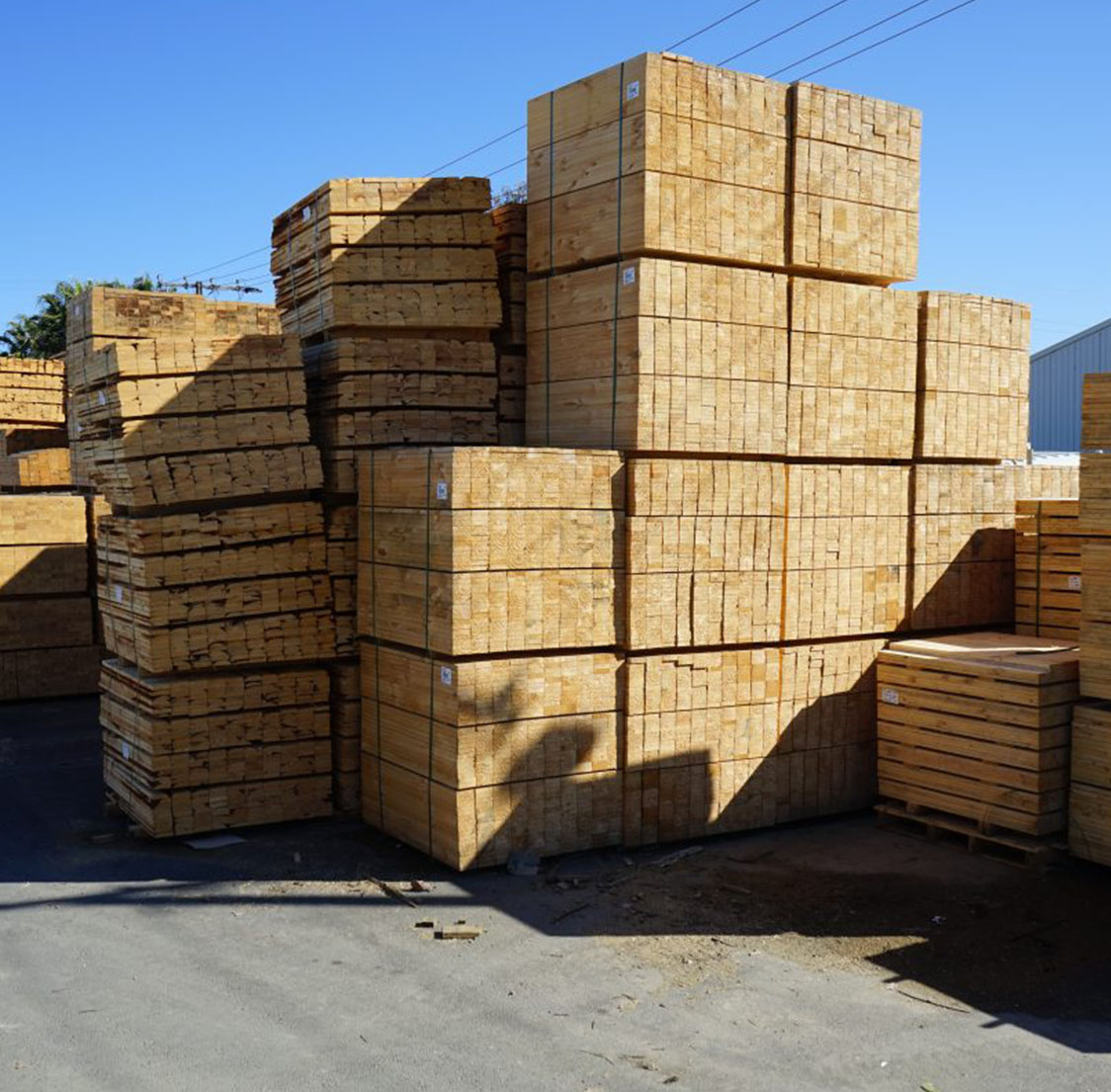 Timber For Pallets