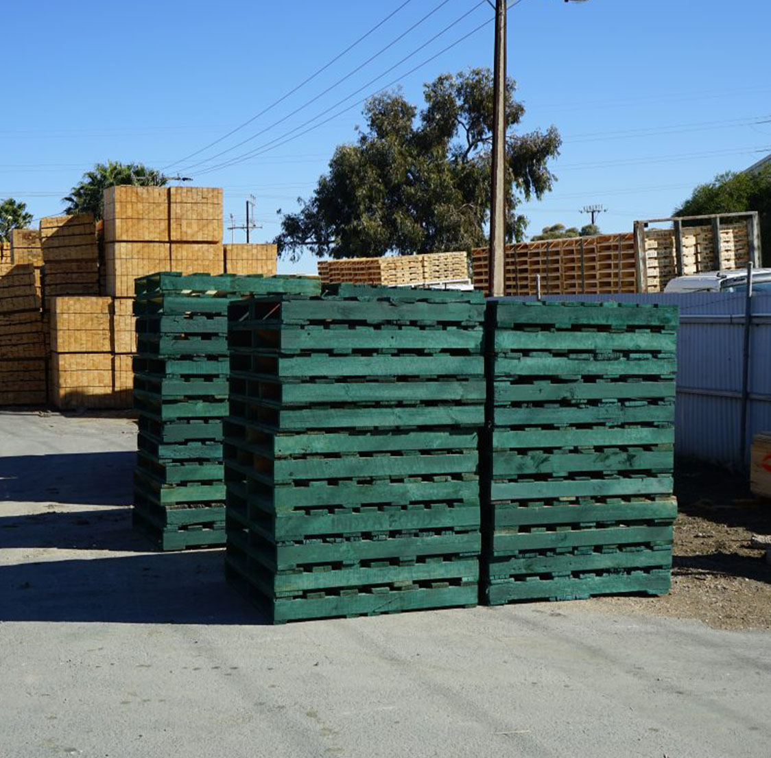 Used coloured pallets Adelaide